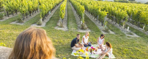 decouvrir-l-oenotourisme-a-beaune